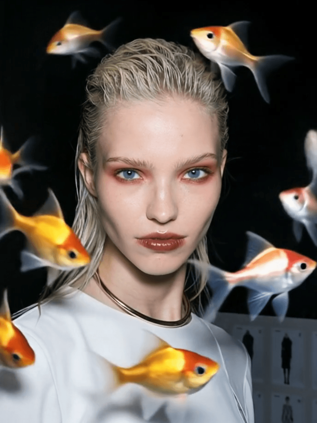 Núcleo del Sueño de Peces