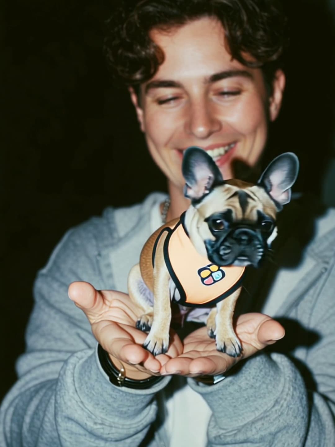Pocket Puppy